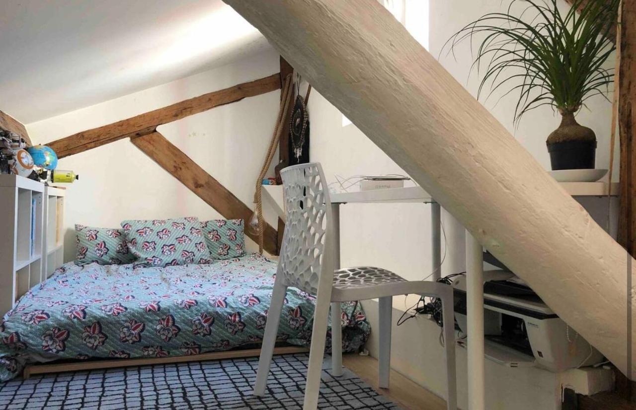 Coeur De Lyon Avec Terrasse Et Jacuzzi Apartment Ngoại thất bức ảnh